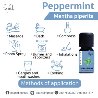 Methods-of-application-for-peppermint-essential-oil.