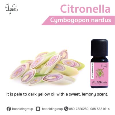 elyrest-citronella-essential-oil-cymbogopon-nardus