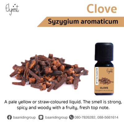 elyrest-clove-essential-oil-syzygium-aromaticum-latin-name