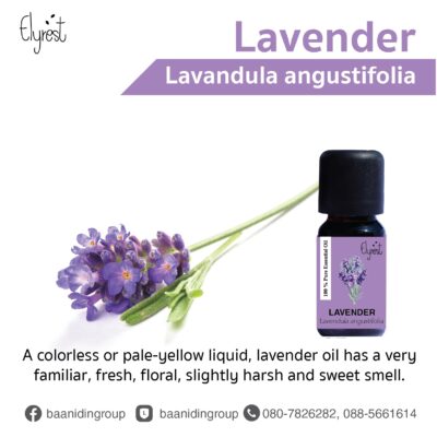 elyrest-lavender-pure-essential-oil-Lavandula-angustifolia.