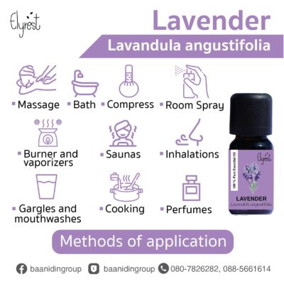 elyrest-lavender-pure-essential-oil-methods-of-application.