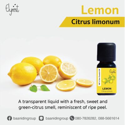lemon-essential-oil-cold-pressed-peel-body-and-brain-tonic.